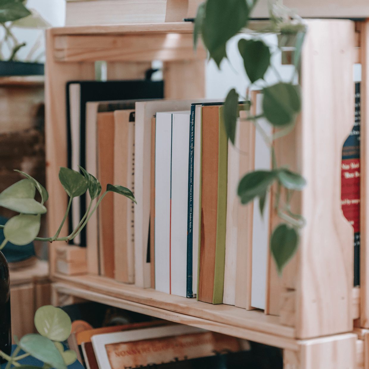 Read more about the article Photograph Inspiration To Learn New Angles
