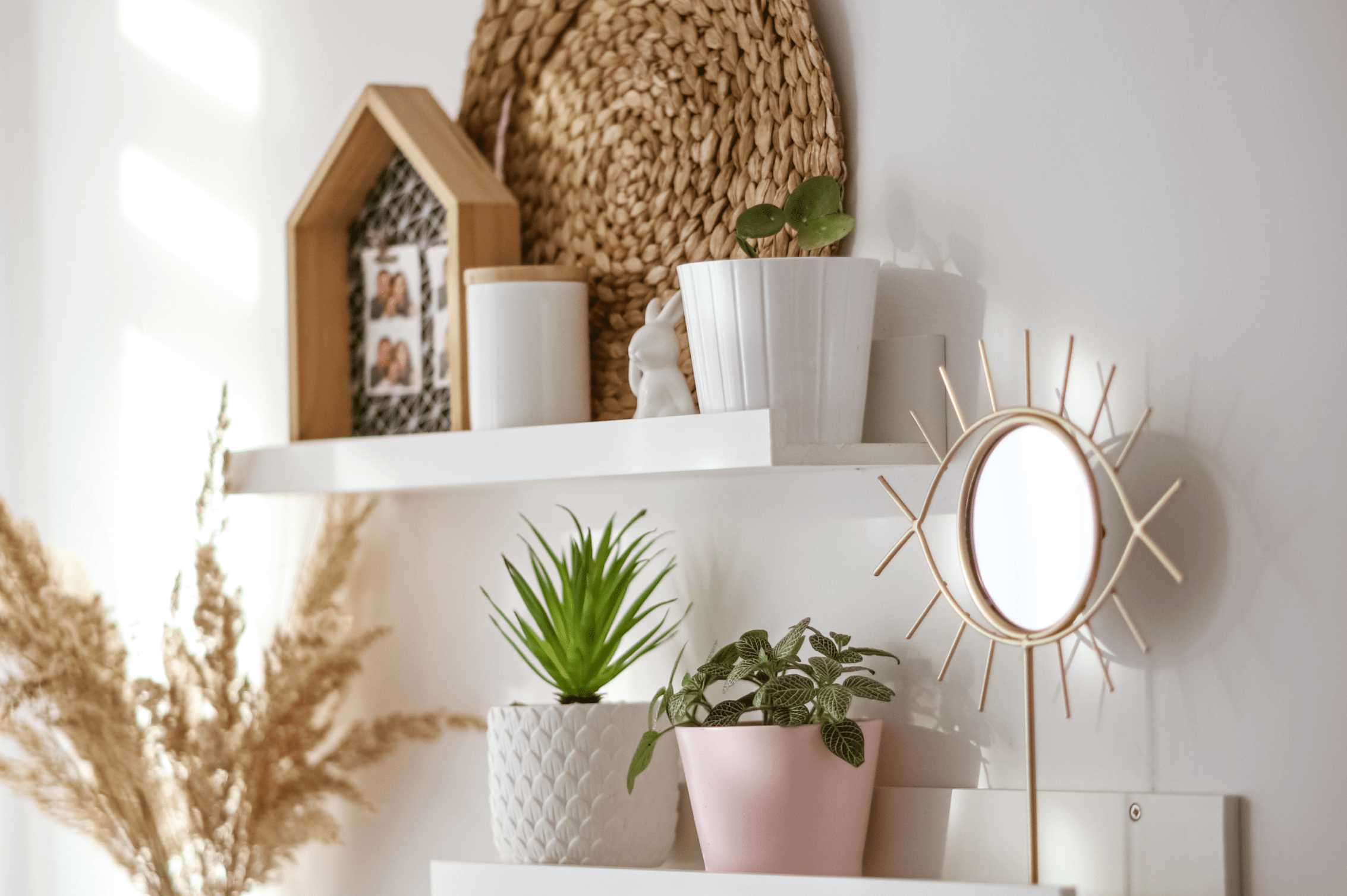 Read more about the article How To Decorate Your Minimalist Backdrop